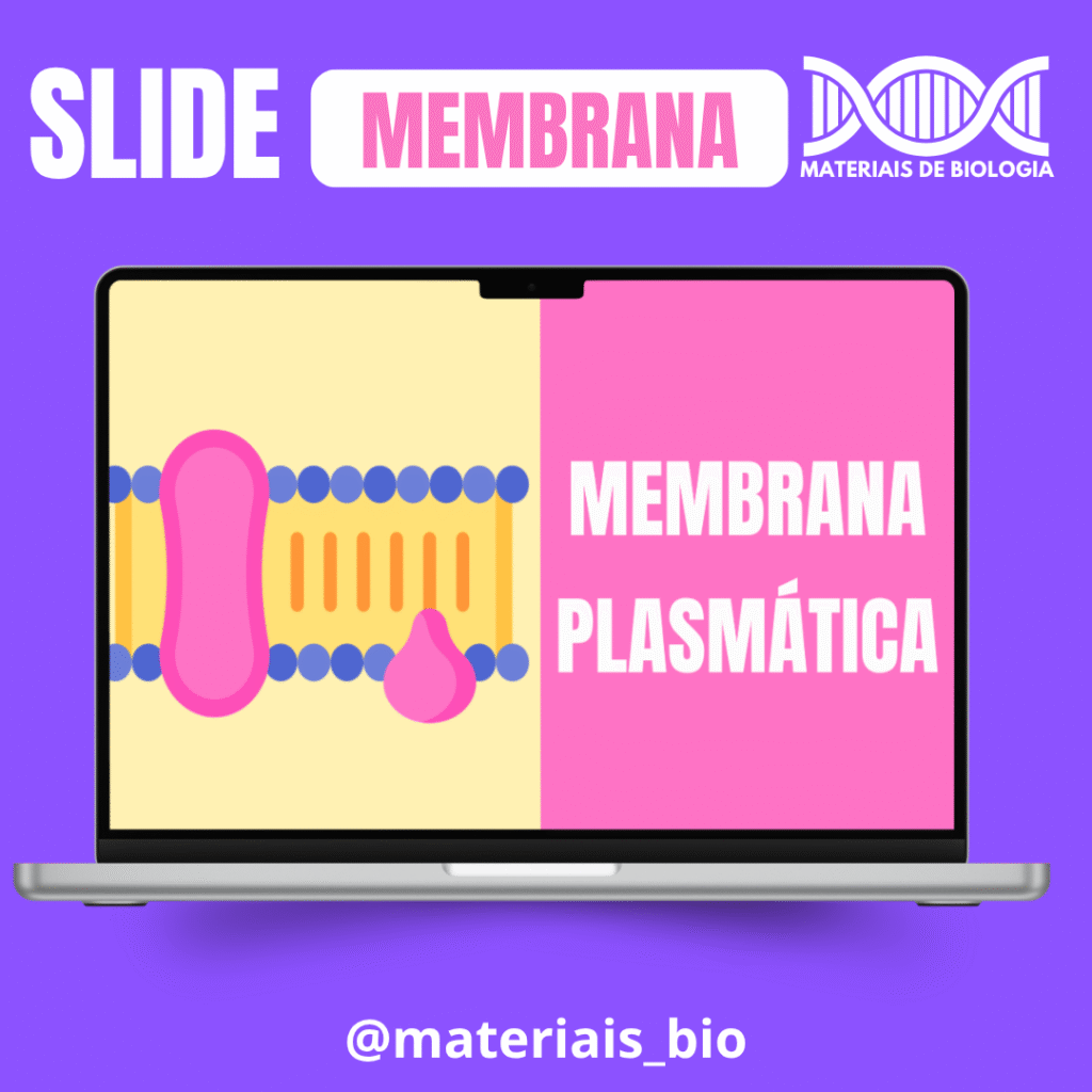 SLIDE MEMBRANA PLASMÁTICA