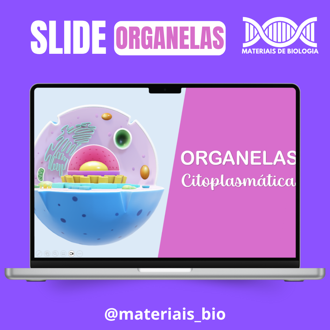 SLIDE ORGANELAS CITOPLASMÁTICAS