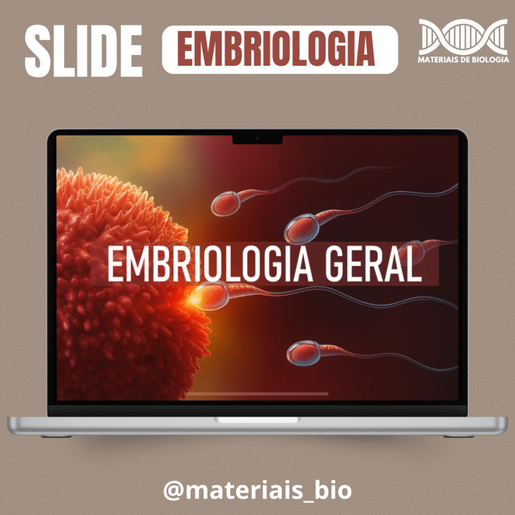 SLIDE DE EMBRIOLOGIA