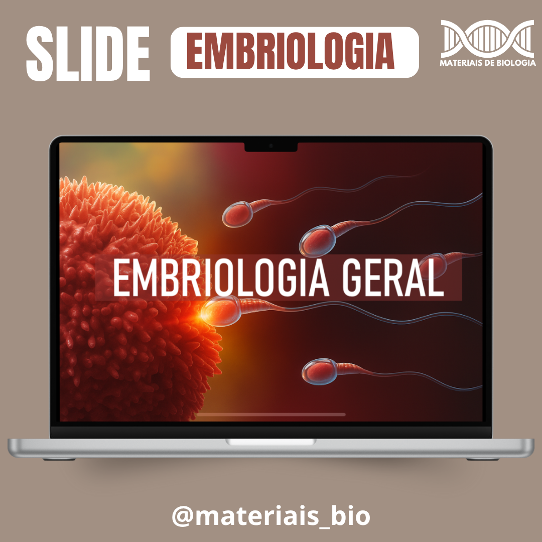 SLIDE DE EMBRIOLOGIA
