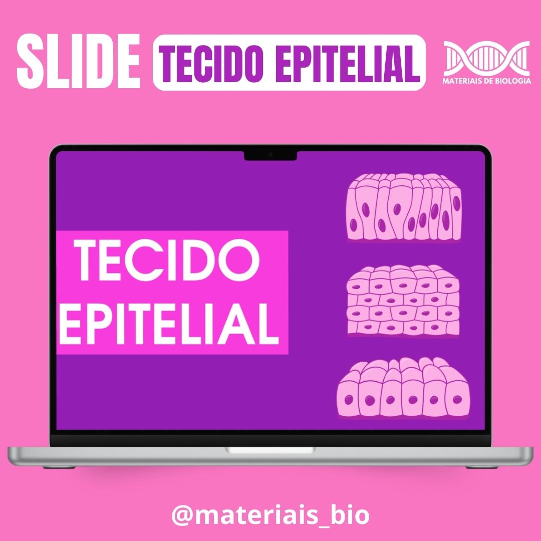 SLIDE DE TECIDO EPITELIAL